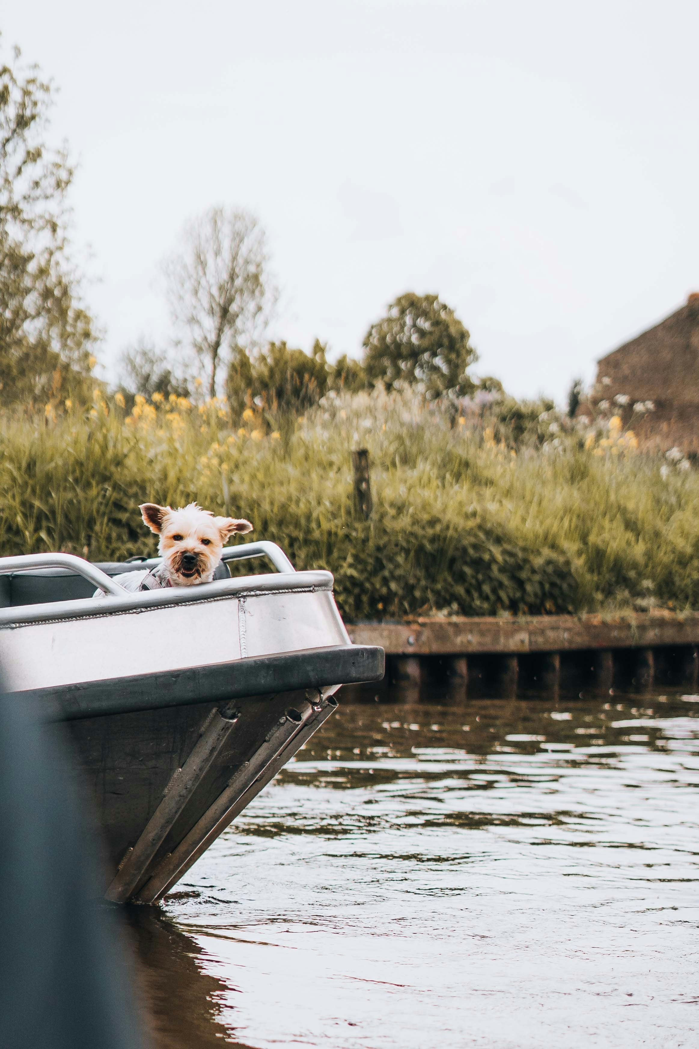 Verschillende bootjes beschikbaar voor verhuur richting Giethoorn